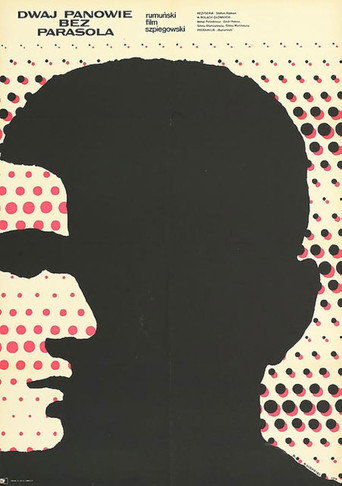 The Likeable Mister R. movie poster
