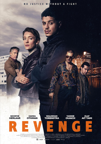 Revenge movie poster