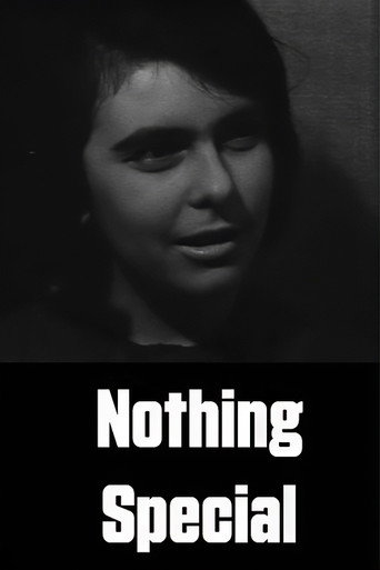 Nothing Special movie poster