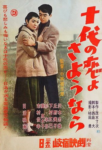 Goodbye Teenage Love movie poster