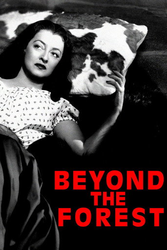Beyond the Forest movie poster