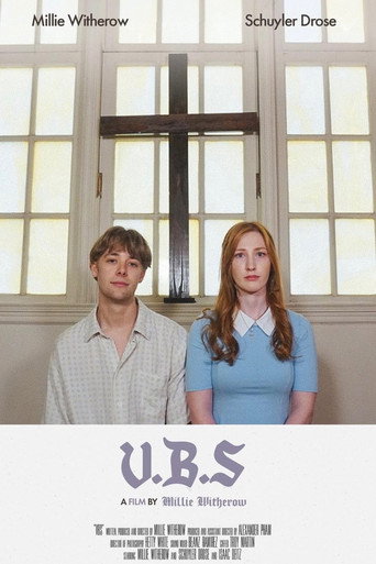 V.B.S movie poster