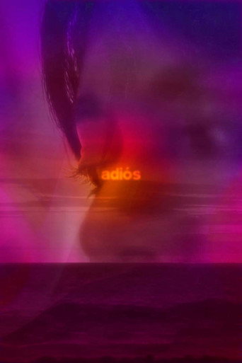 adiós movie poster