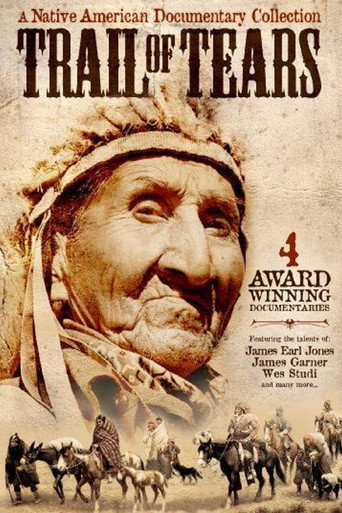 The Trail Of Tears: Cherokee Legacy movie poster