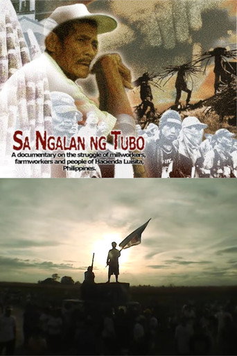 In the Name of the Sugarcane movie poster