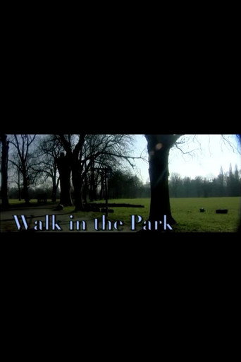 Walk in the Park movie poster