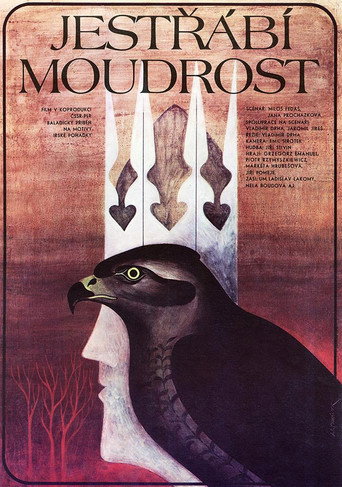 Jestřábí moudrost movie poster