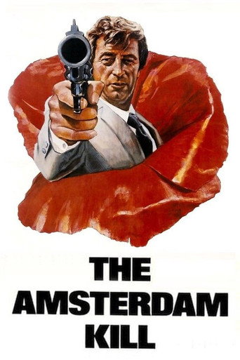 The Amsterdam Kill movie poster
