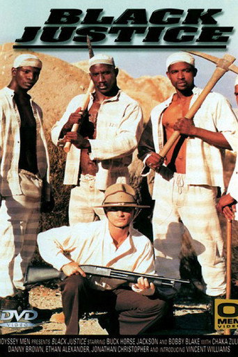 Black Justice movie poster