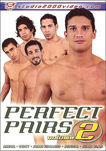 Perfect Pairs 2 movie poster