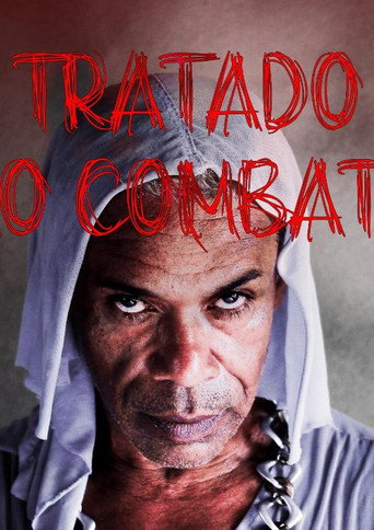 O Tratado do Vão Combate ou A Pequena História de uma Bixinha Qualquer movie poster