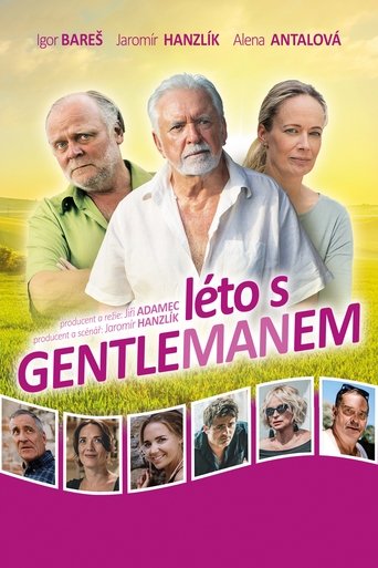 Summer with the gentleman movie poster