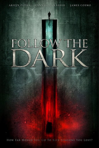 Follow the Dark movie poster
