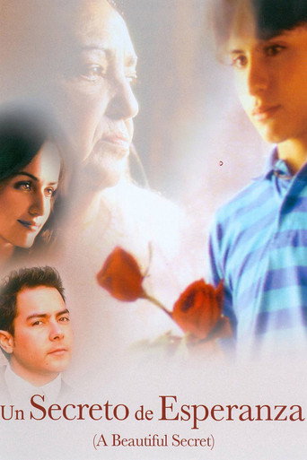 A Beautiful Secret movie poster