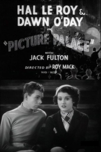 Picture Palace movie poster