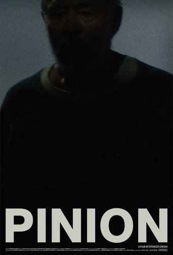 Pinion movie poster