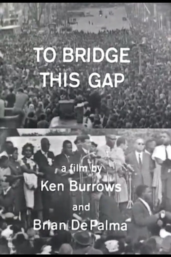 To Bridge This Gap movie poster