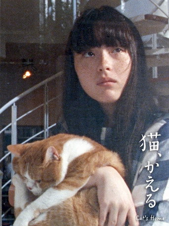 Cat's Home movie poster