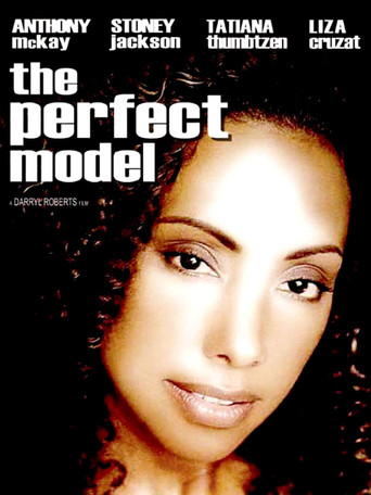 The Perfect Model movie poster