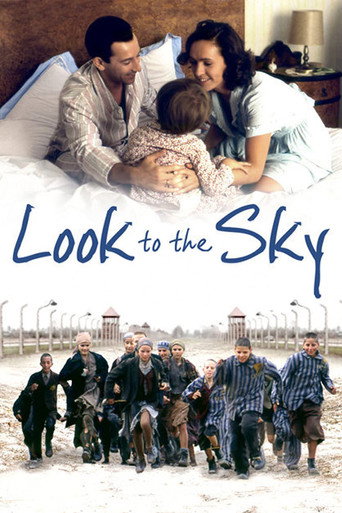 Look to the Sky movie poster