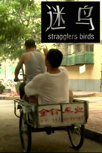 Stragglers Birds movie poster