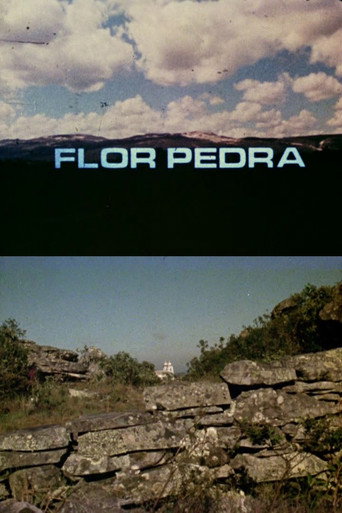 Flor Pedra movie poster