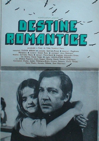 Romantic Destinies movie poster