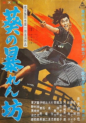 Fine Man movie poster