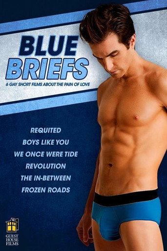 Blue Briefs movie poster