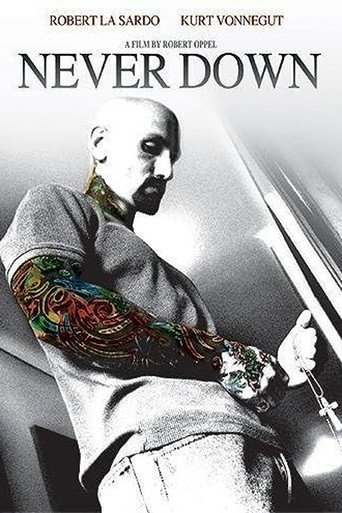 Never Down movie poster
