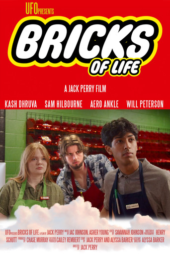 Bricks of Life movie poster