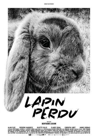 Lost Rabbit movie poster