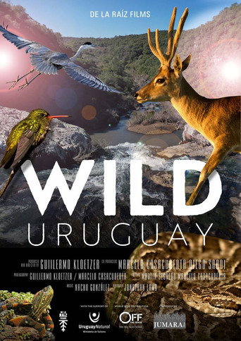 Wild Uruguay movie poster