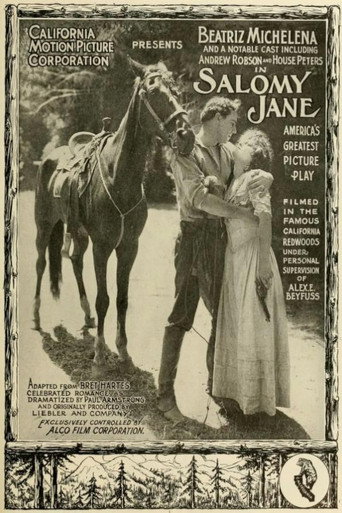 Salomy Jane movie poster