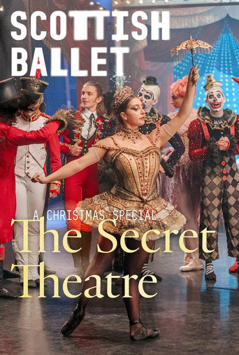 The Secret Theatre movie poster