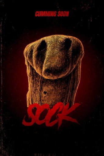 Sock movie poster