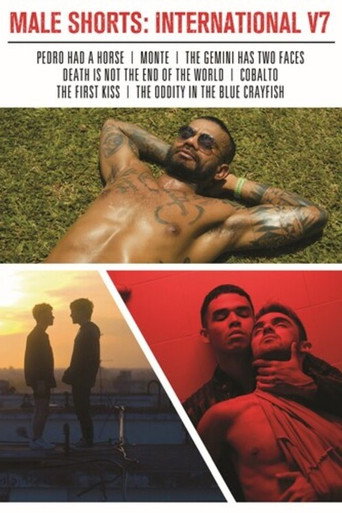 Male Shorts: International V7 movie poster