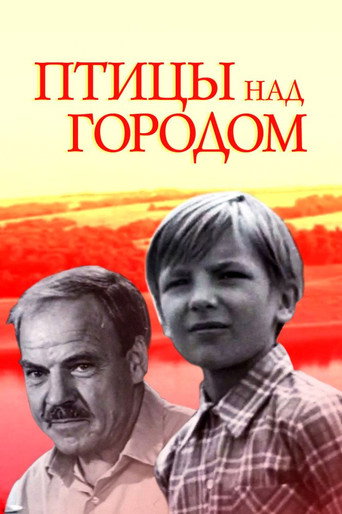 Birds Over the City movie poster