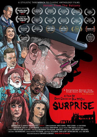 Surprise movie poster