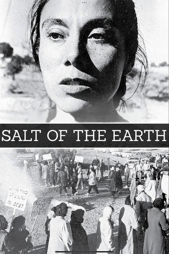 Salt of the Earth movie poster