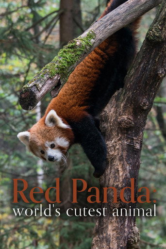 Red Panda: World's Cutest Animal movie poster