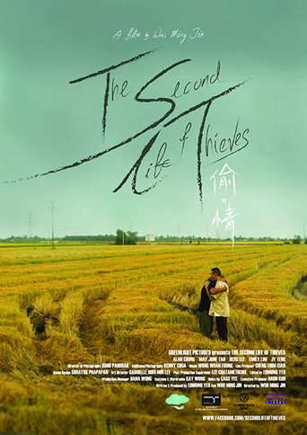 The Second Life of Thieves movie poster
