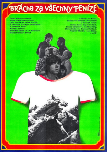 Brother for All the Money movie poster