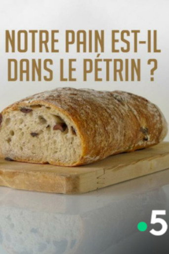 Notre pain est-il dans le pétrin ? movie poster