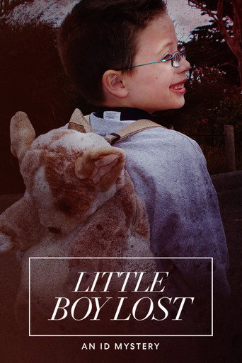 Little Boy Lost: An ID Mystery movie poster