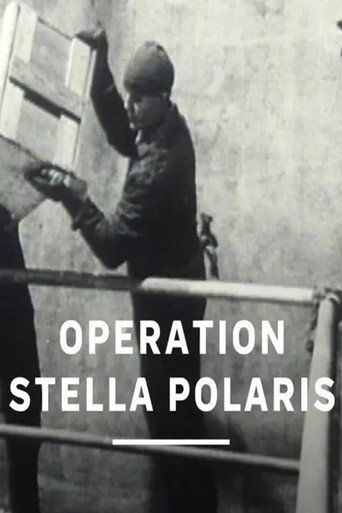 Operation Stella Polaris movie poster