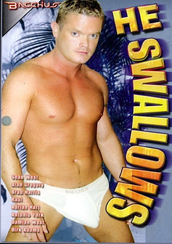 He Swallows movie poster