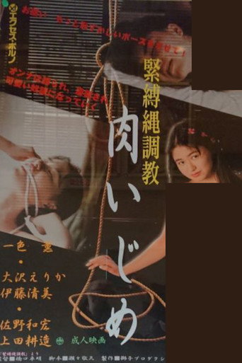 Bondage Rope Training movie poster
