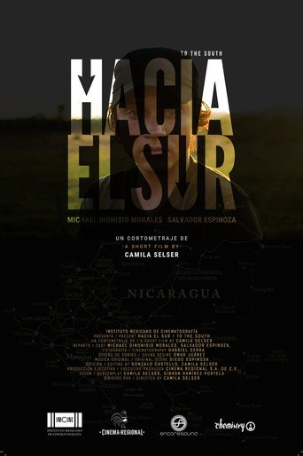 Hacia el sur movie poster
