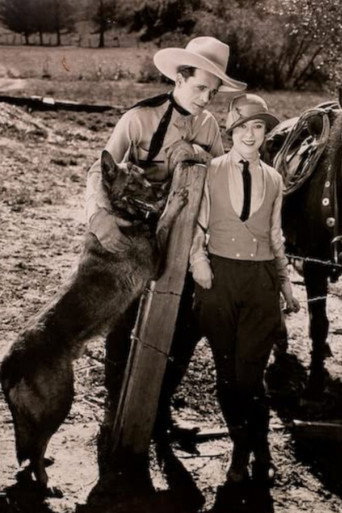 The Four-Footed Ranger movie poster